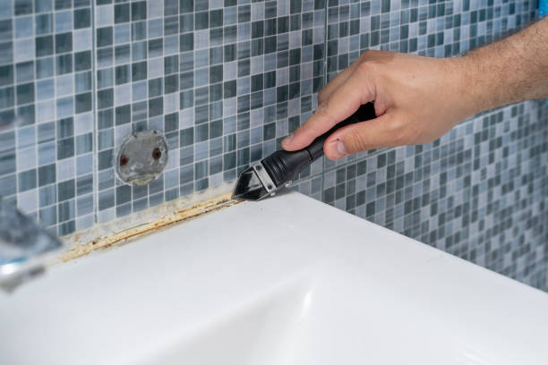 Best Fast Mold Removal  in Bellwood, IL